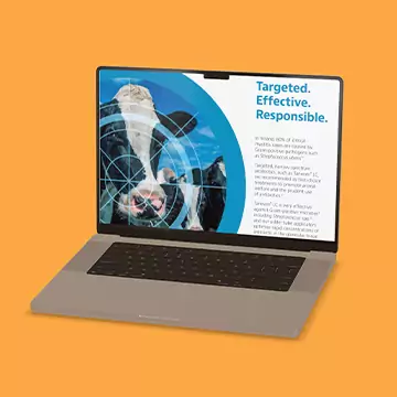 Computer with Taneven ad on screen